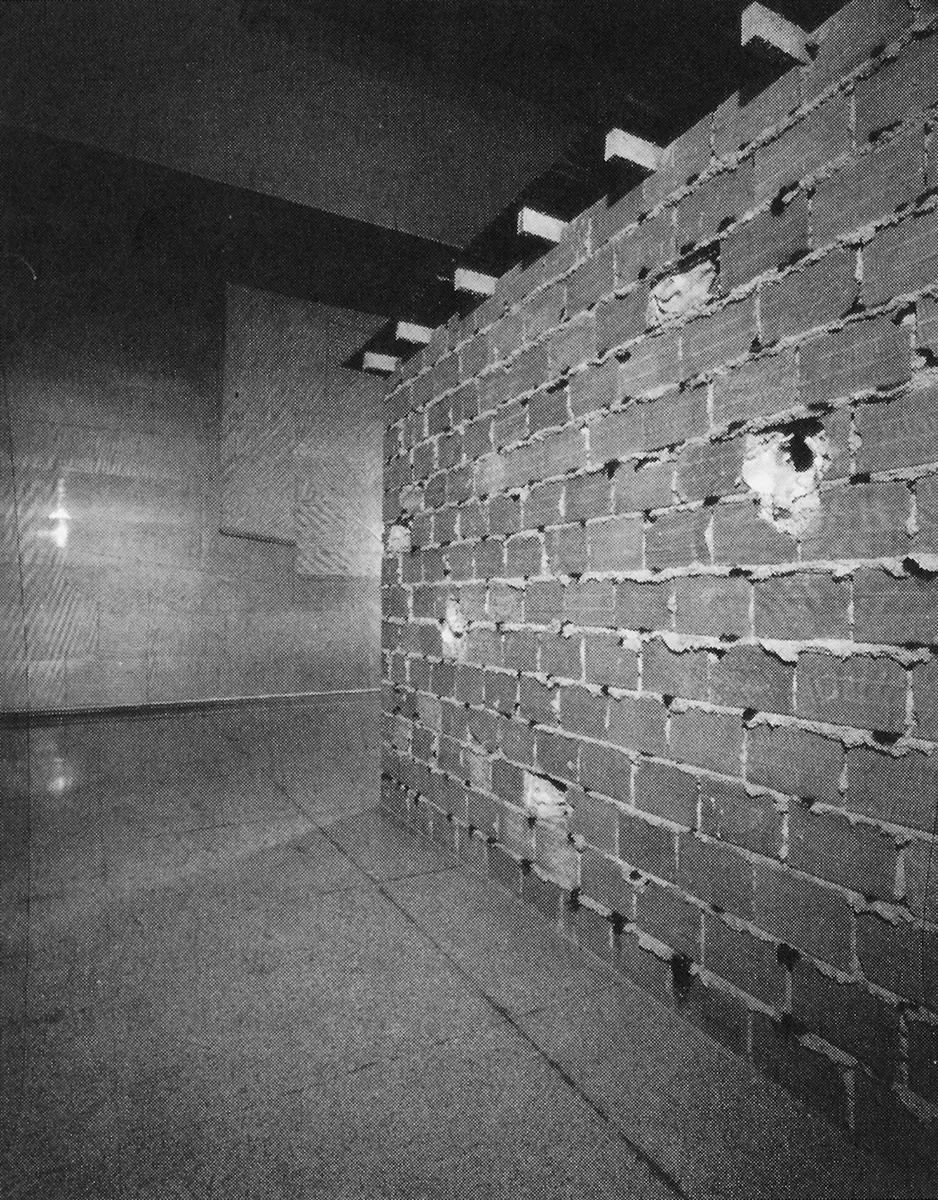 Colectiva: La invención de la continuidad: una verdad construida — imagen 3