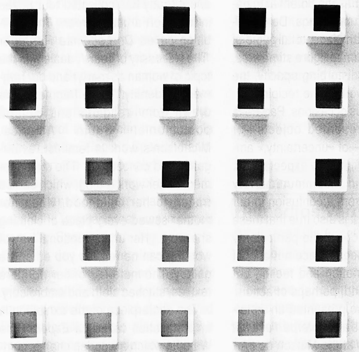 Exposición Individual: Luis Tomasello — imagen 1