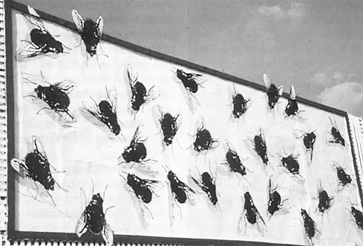 Exposición Individual: Regina Silveira — imagen 1