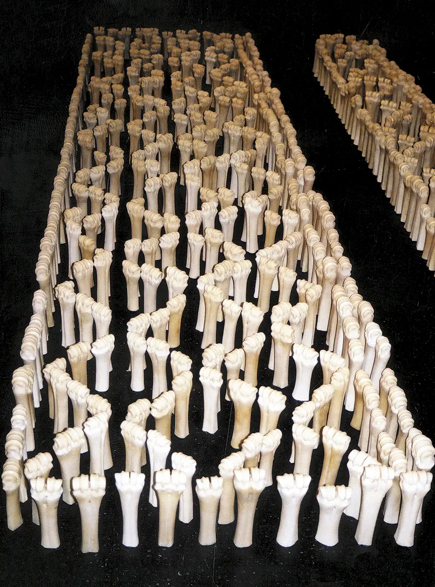 Exposición: Cantos/Cuentos Colombianos — imagen 7