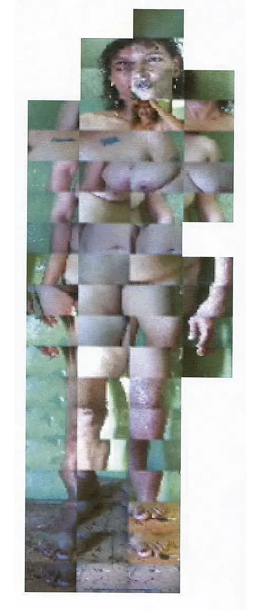 Monografía: Brooke Alfaro — imagen 7