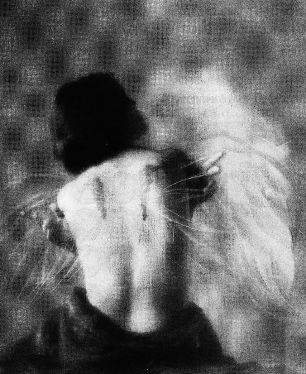 Colectiva: I Bienal de Los Angeles — imagen 1