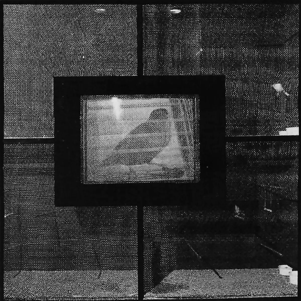 Exposición Individual: Juan Downey — imagen 1
