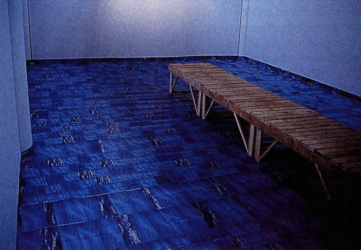 Exposición: II Bienal de Johannesburgo — imagen 4