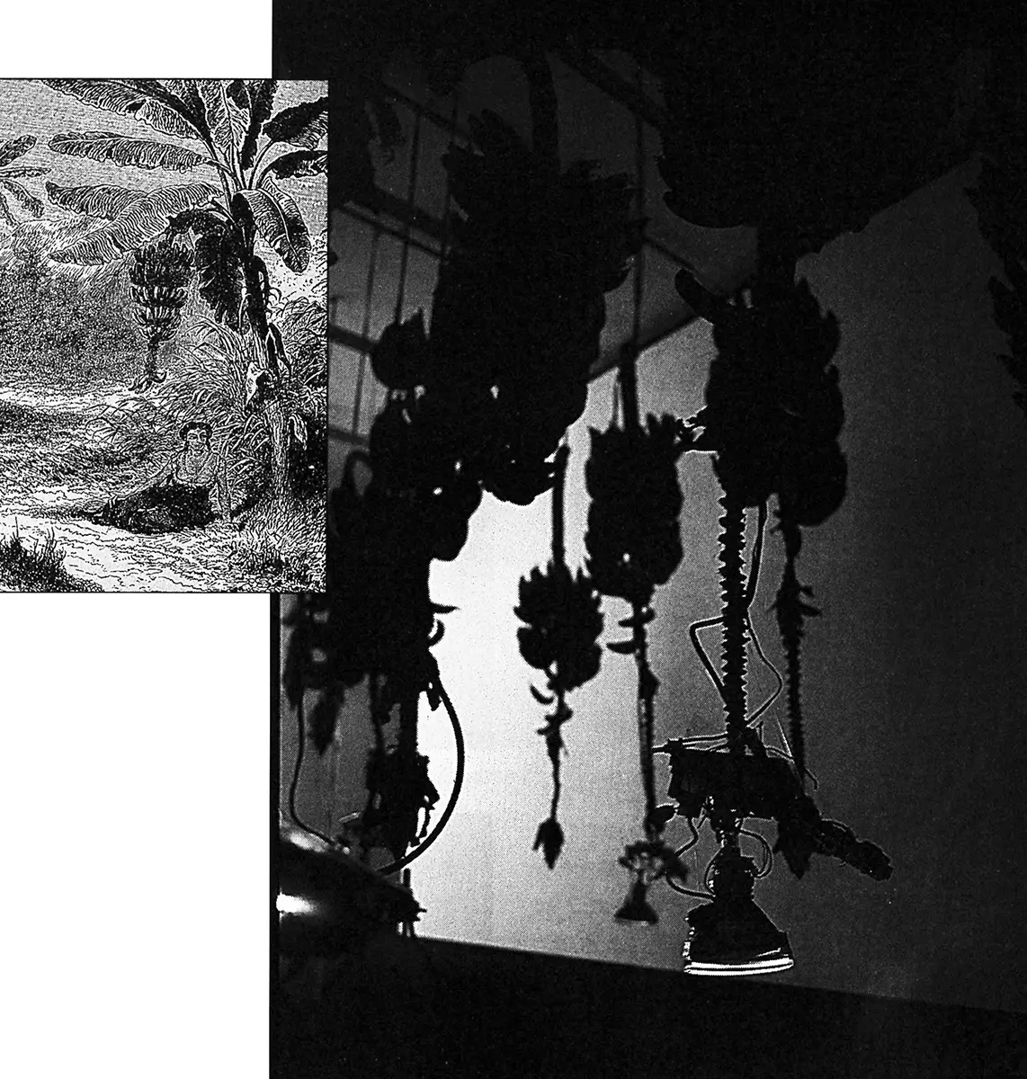 Monografía: José Alejandro Restrepo — imagen 3