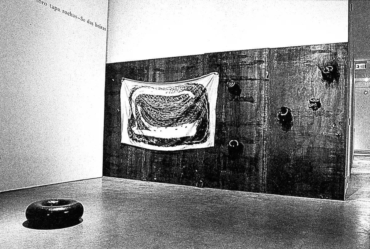 Monografía: Tunga — imagen 3