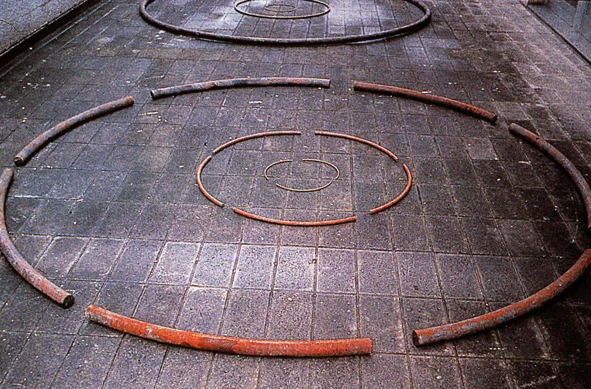 Monografía: Tunga — imagen 5