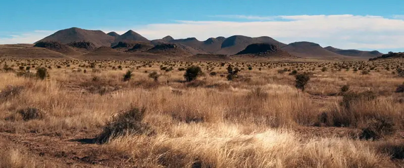 El MoMA anuncia proyecto: Carolina Caycedo y David de Rozas