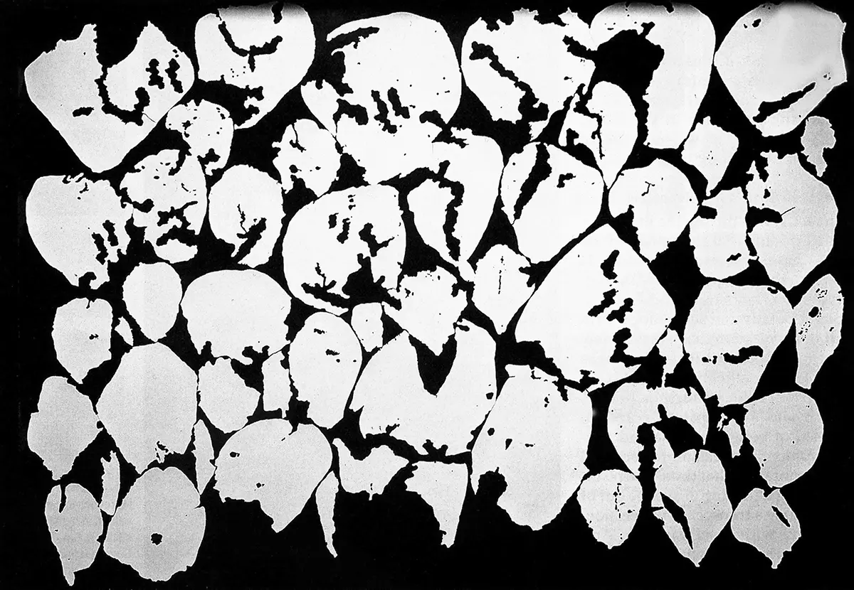Monografía: Roberto Obregón — imagen 3
