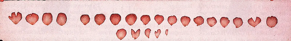 Monografía: Roberto Obregón — imagen 2