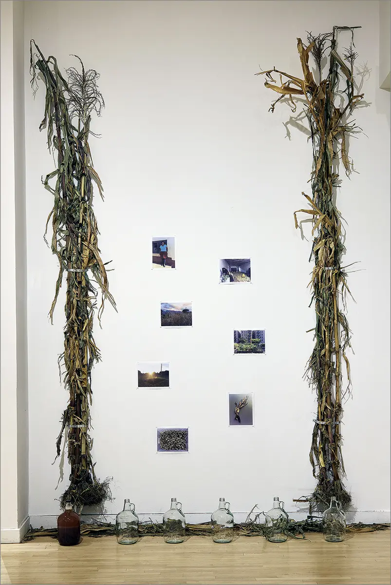 Bienal: Bronx Calling: Fifth AIM Biennial — imagen 5