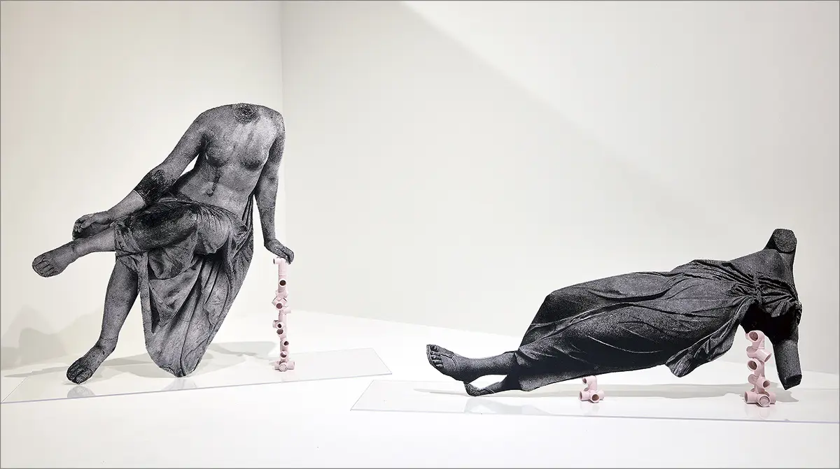 Bienal: Bronx Calling: Fifth AIM Biennial — imagen 4