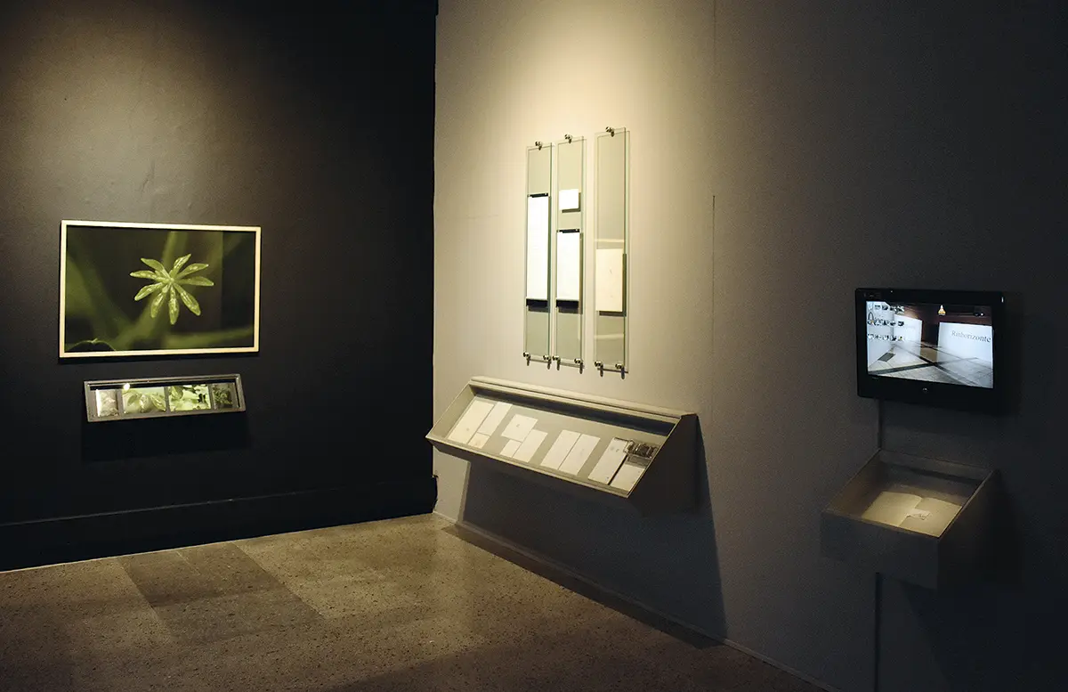 Monografía: 45º Salón Nacional de Artes, Mutis 2020 — imagen 1