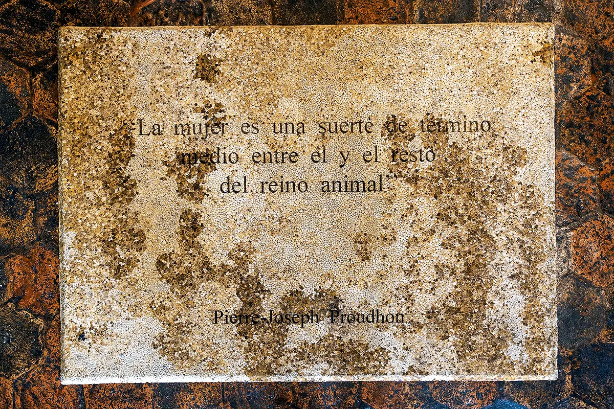 Bienal: Bienal del Bioceno. Cambiar el verde por azul — imagen 3