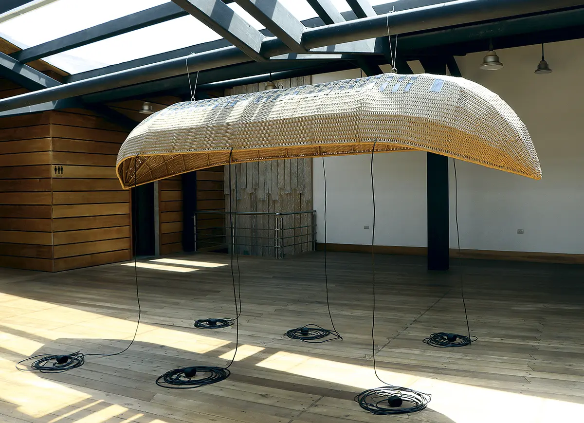 Bienal: Bienal del Bioceno. Cambiar el verde por azul — imagen 2