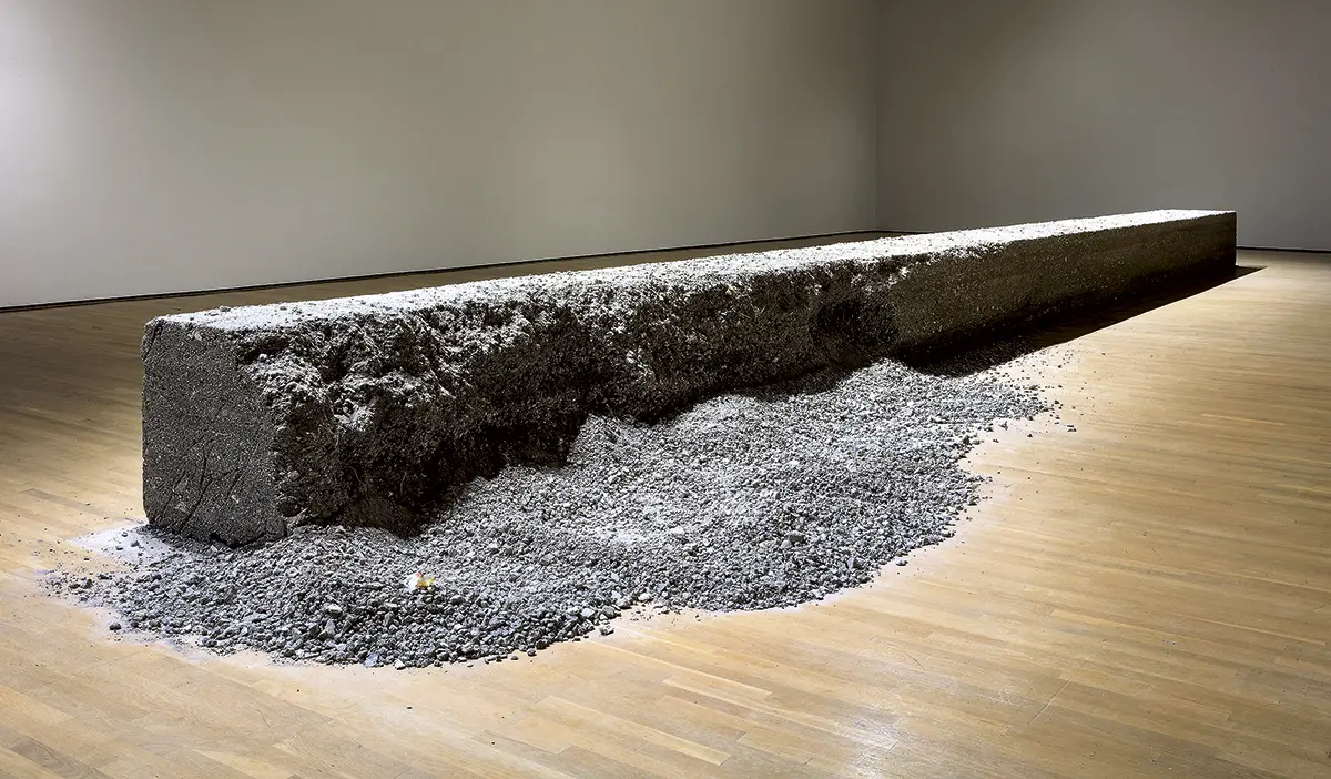 Monografía: Teresa Margolles — imagen 6