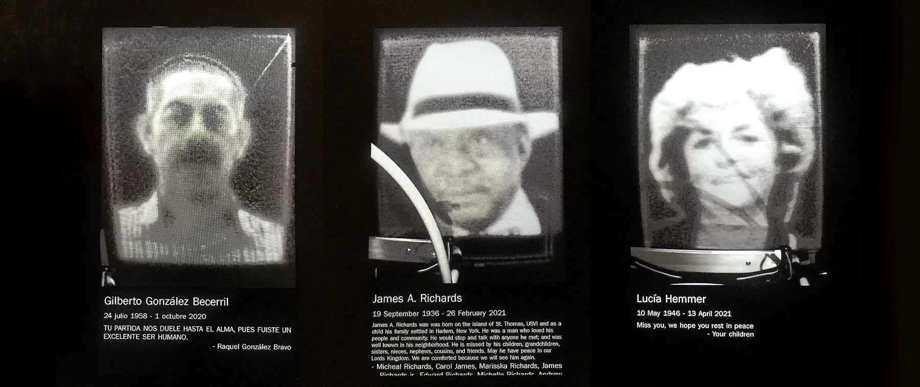 Rafael Lozano Hammer