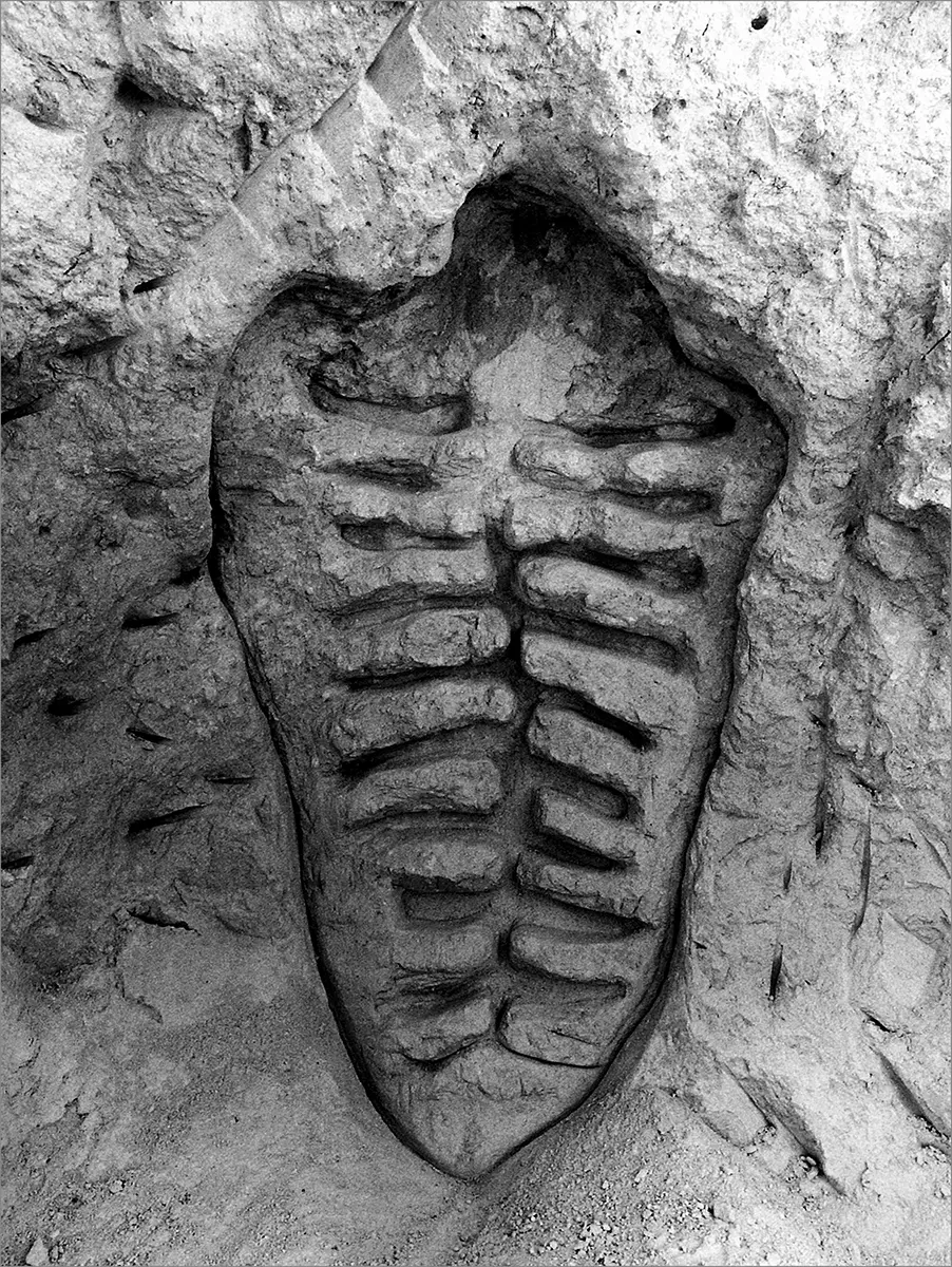 Monografía: Ana Mendieta. Cuerpo terrenal, Esculturas y Performance. 1972-1985 — imagen 5