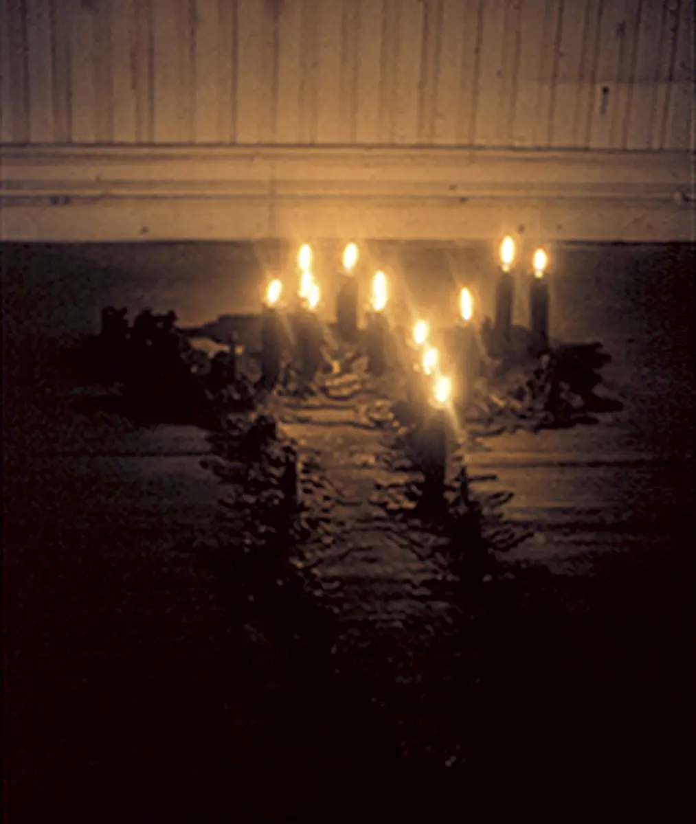 Monografía: Ana Mendieta. Cuerpo terrenal, Esculturas y Performance. 1972-1985 — imagen 4