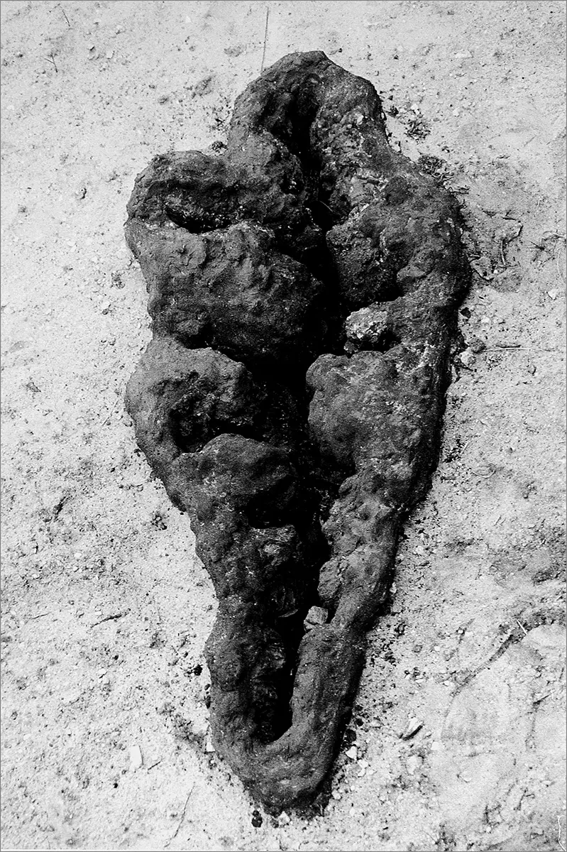 Monografía: Ana Mendieta. Cuerpo terrenal, Esculturas y Performance. 1972-1985 — imagen 3