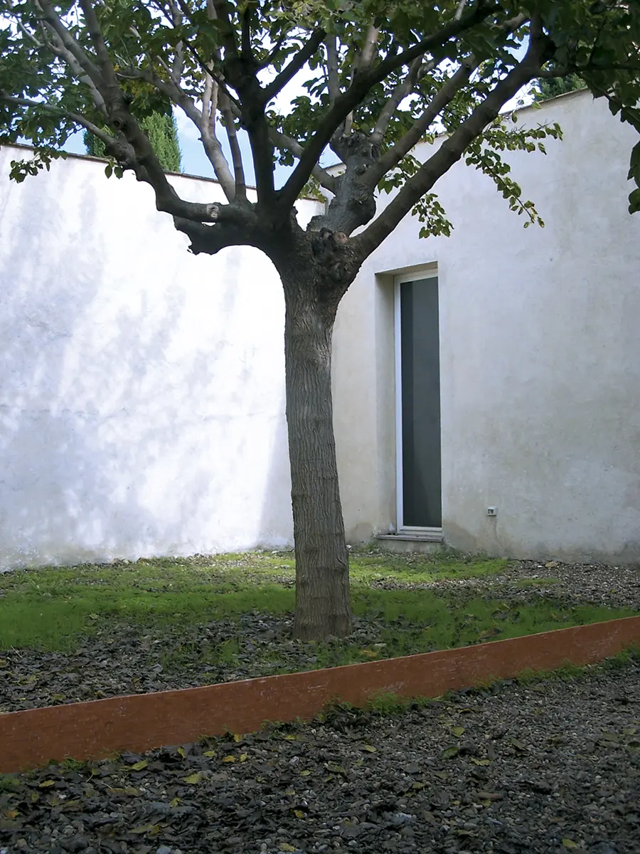 Bienal: 1a Bienal de Arte Contemporáneo de Sevilla — imagen 2