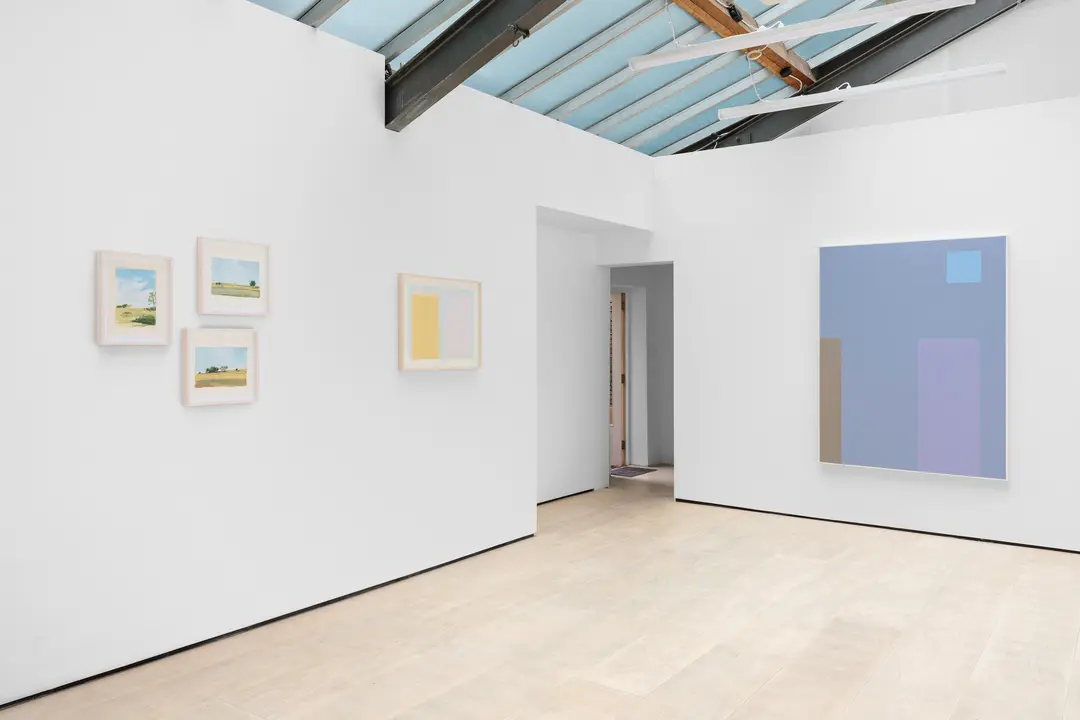 Cecilia Brunson Projects