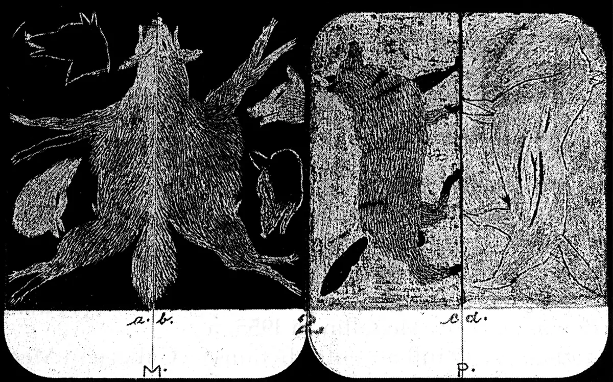 Monografía: José Antonio Suárez — imagen 5