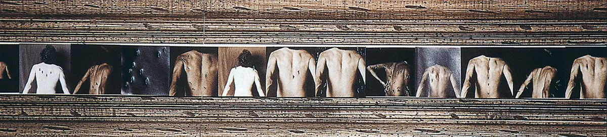 Exposición: Mesótica II — imagen 1
