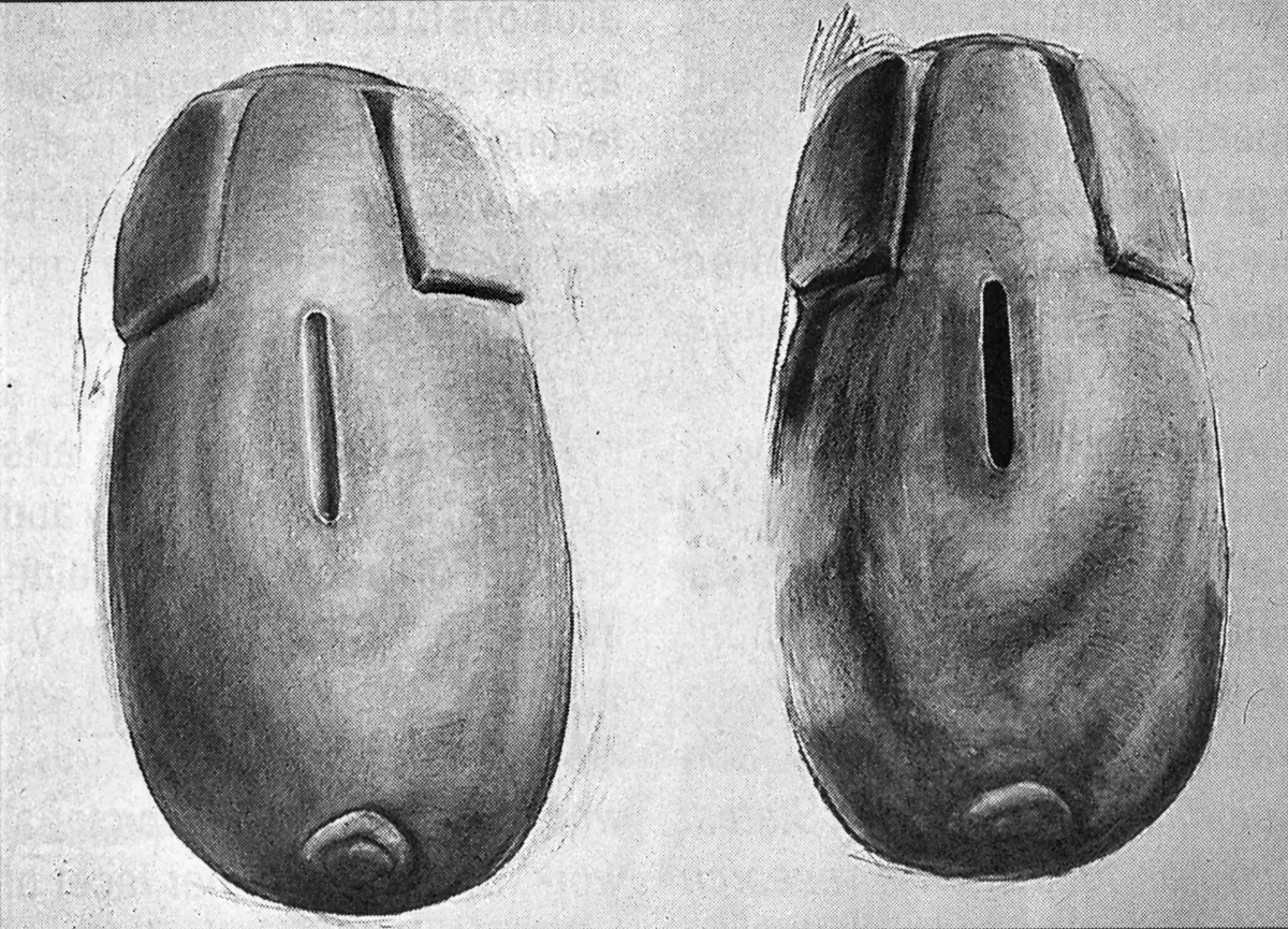 Colectiva: Fuera de límite — imagen 2