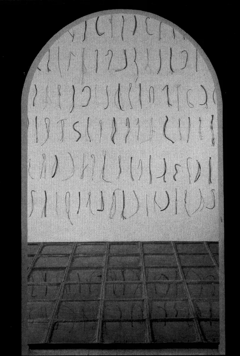 Exposición Individual: Perla Krauze — imagen 1