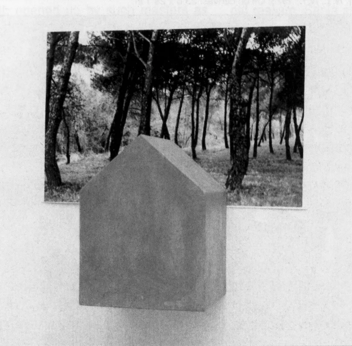 Colectiva: Exposición Cachamai — imagen 2