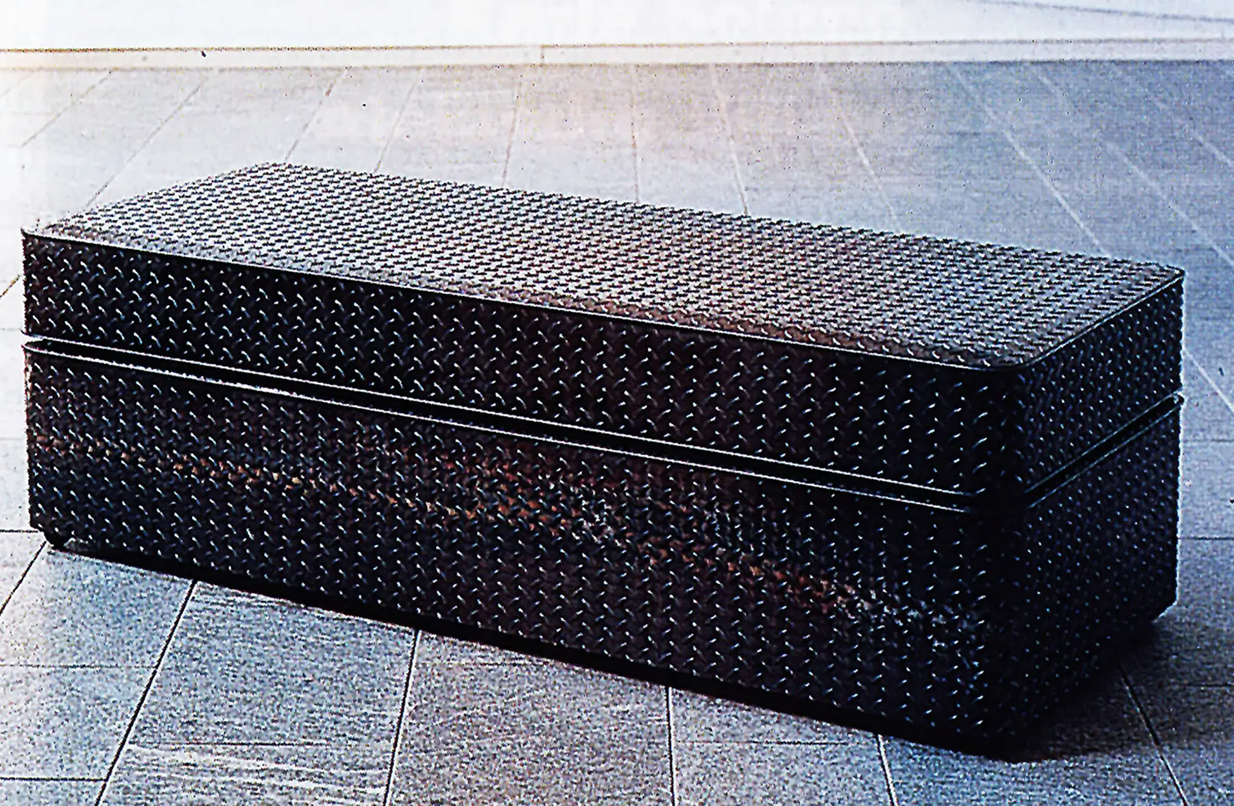 Mona Hatoum