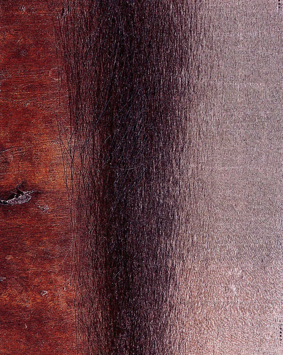Primer Plano: Doris Salcedo — imagen 1