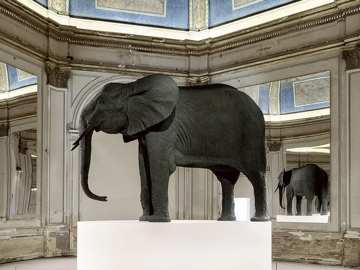 Bienal: Venecia — imagen 11
