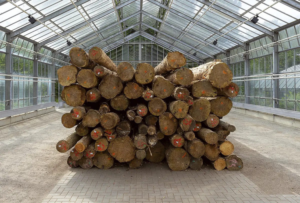 Bienal: documenta 15 — imagen 3