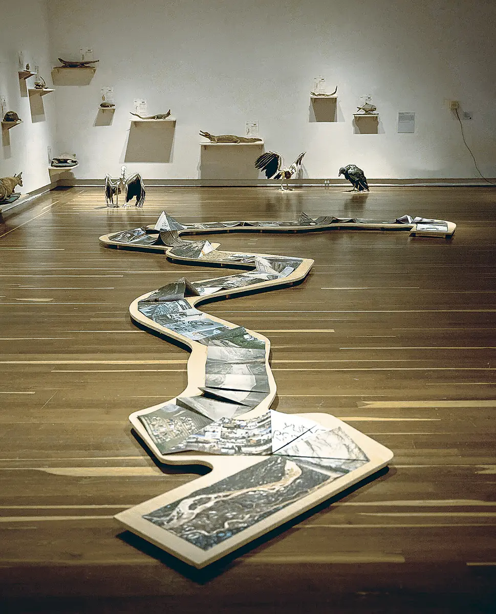 Monografía: 46 Salón Nacional de Artistas — imagen 3