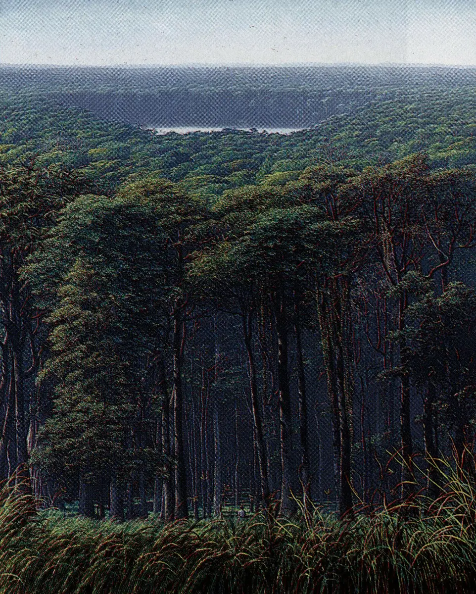 Subasta: Subastas de Arte Latinoamericano en Sotheby’s y Christie’s   — imagen 4