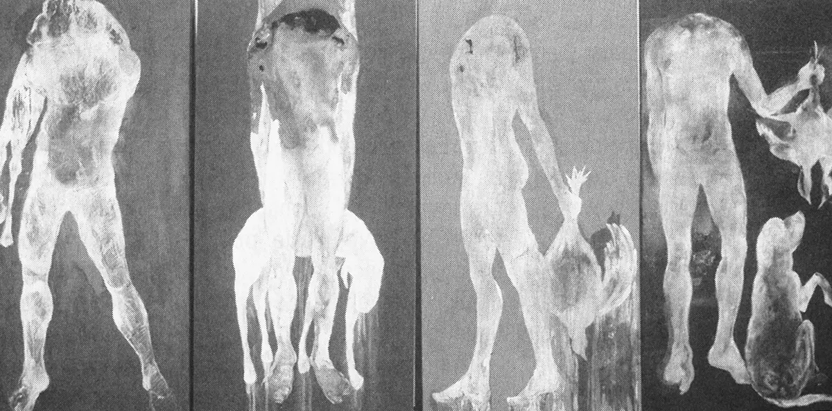 Colectiva: 37º Salón de Artistas Nacionales — imagen 5