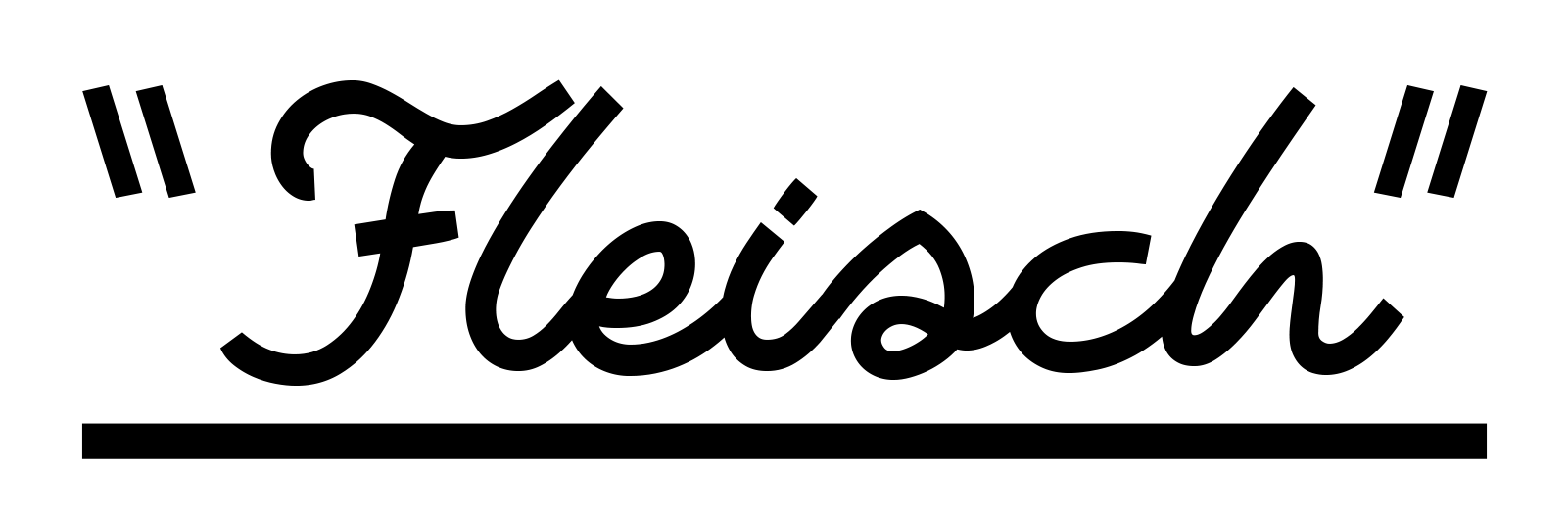 Logo de Fleisch