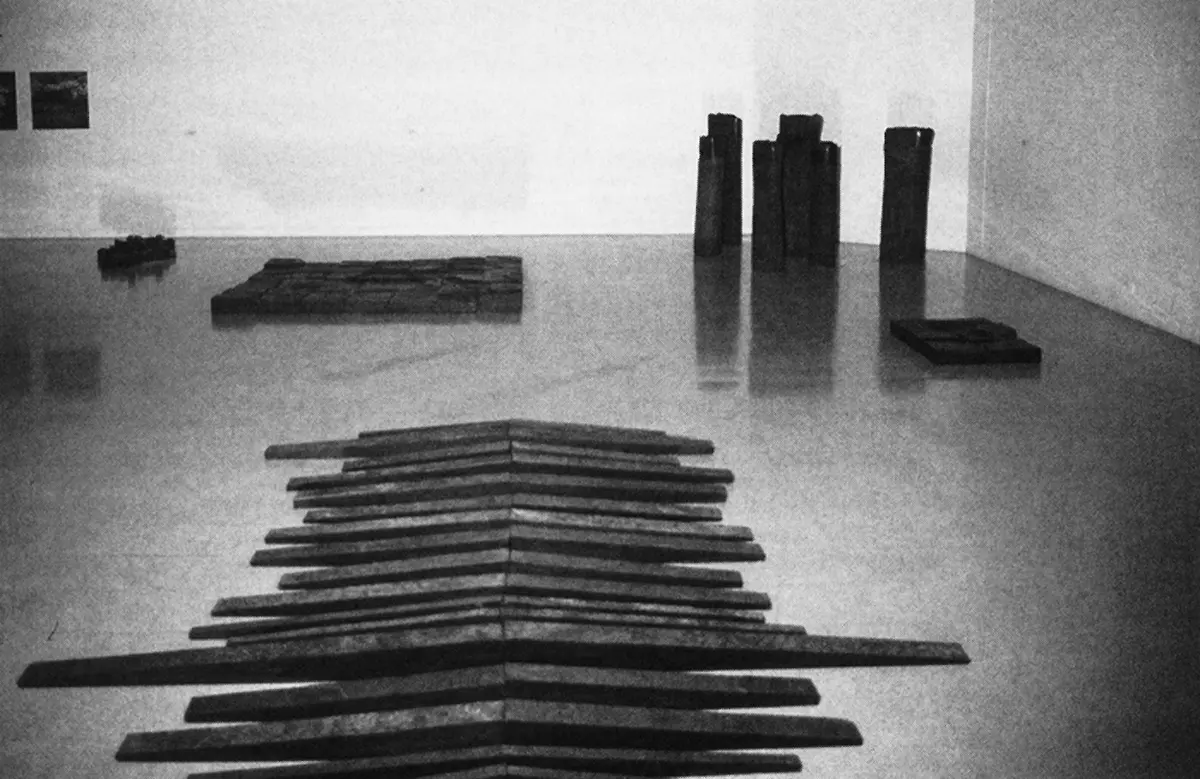 Exposición Individual: Hugo Zapata — imagen 1