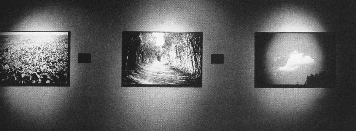 Exposición Individual: Alfredo Jaar — imagen 2