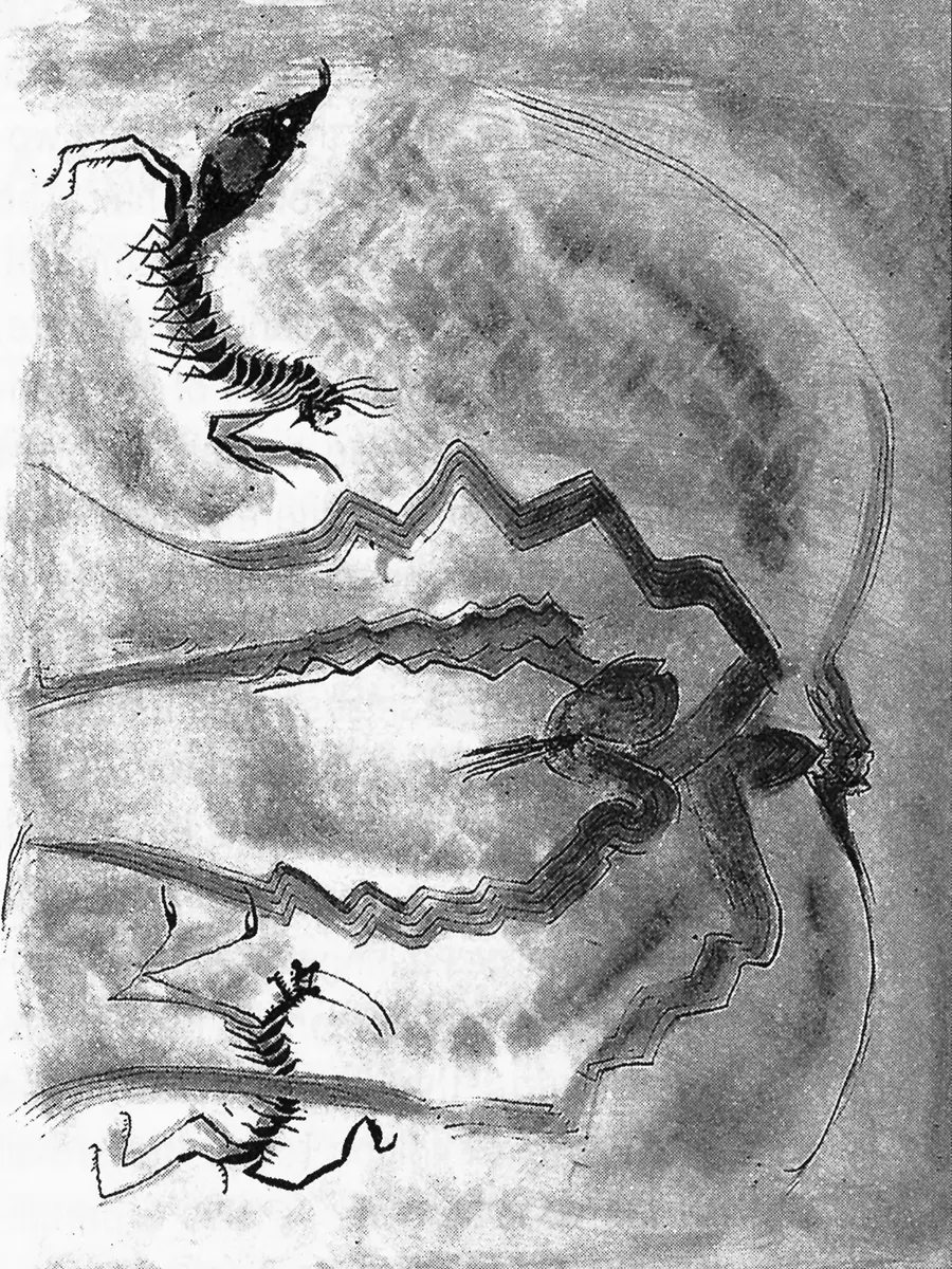 Exposición Individual: Francisco Toledo — imagen 1