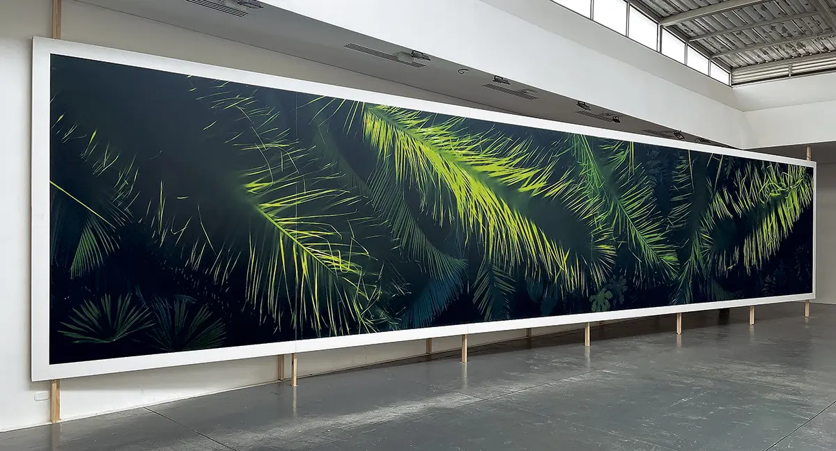 Monografía: 46 Salón Nacional de Artistas — imagen 6