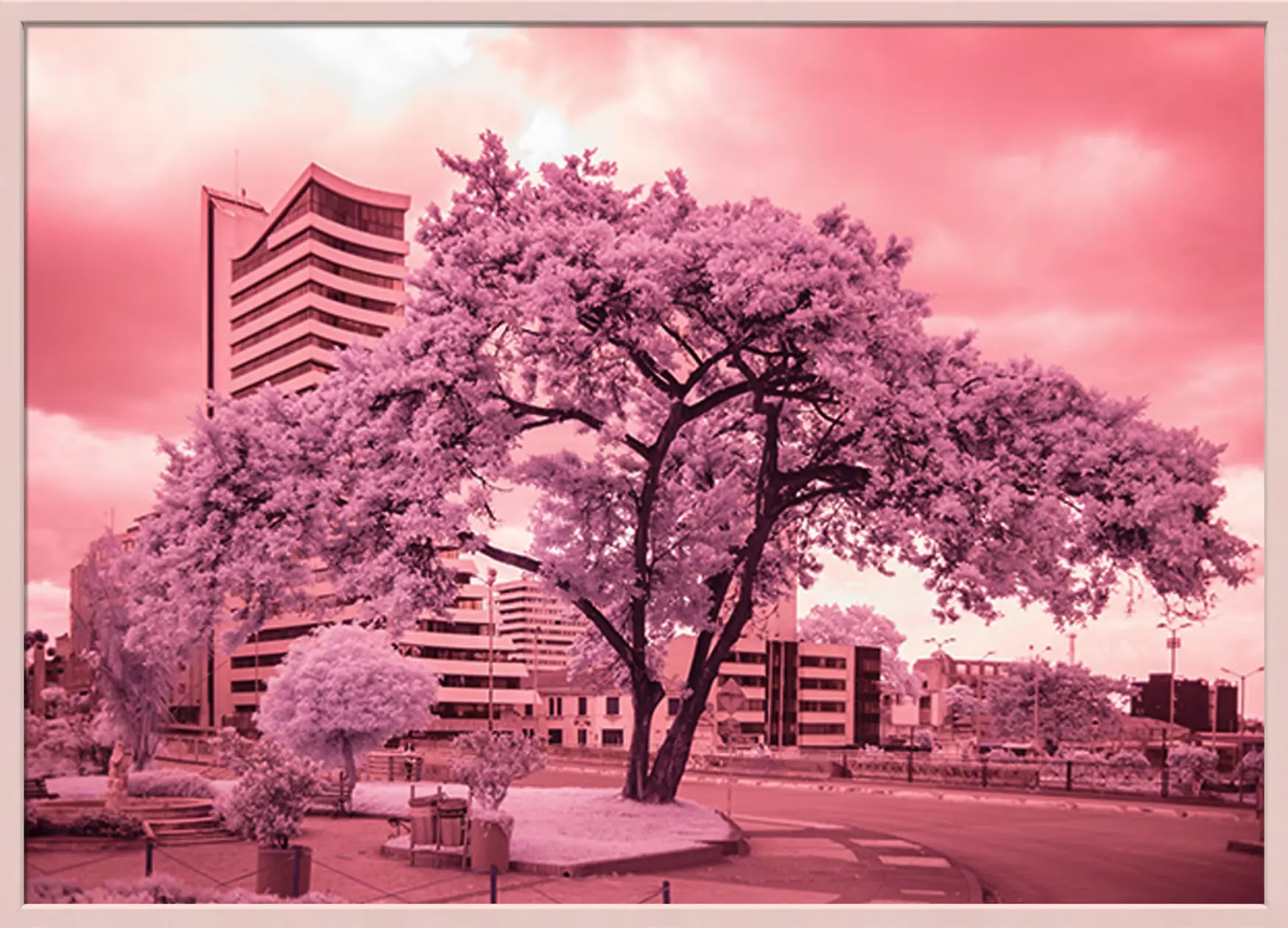 PARQUE SAN DIEGO