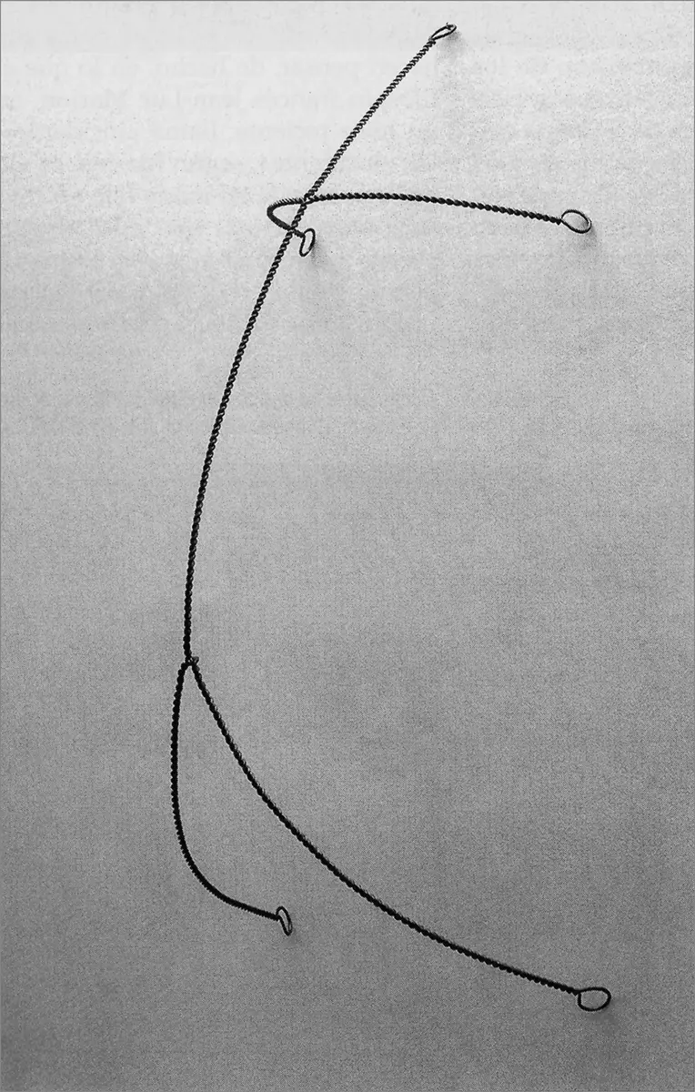 Monografía: Una reticencia insidiosa — imagen 2