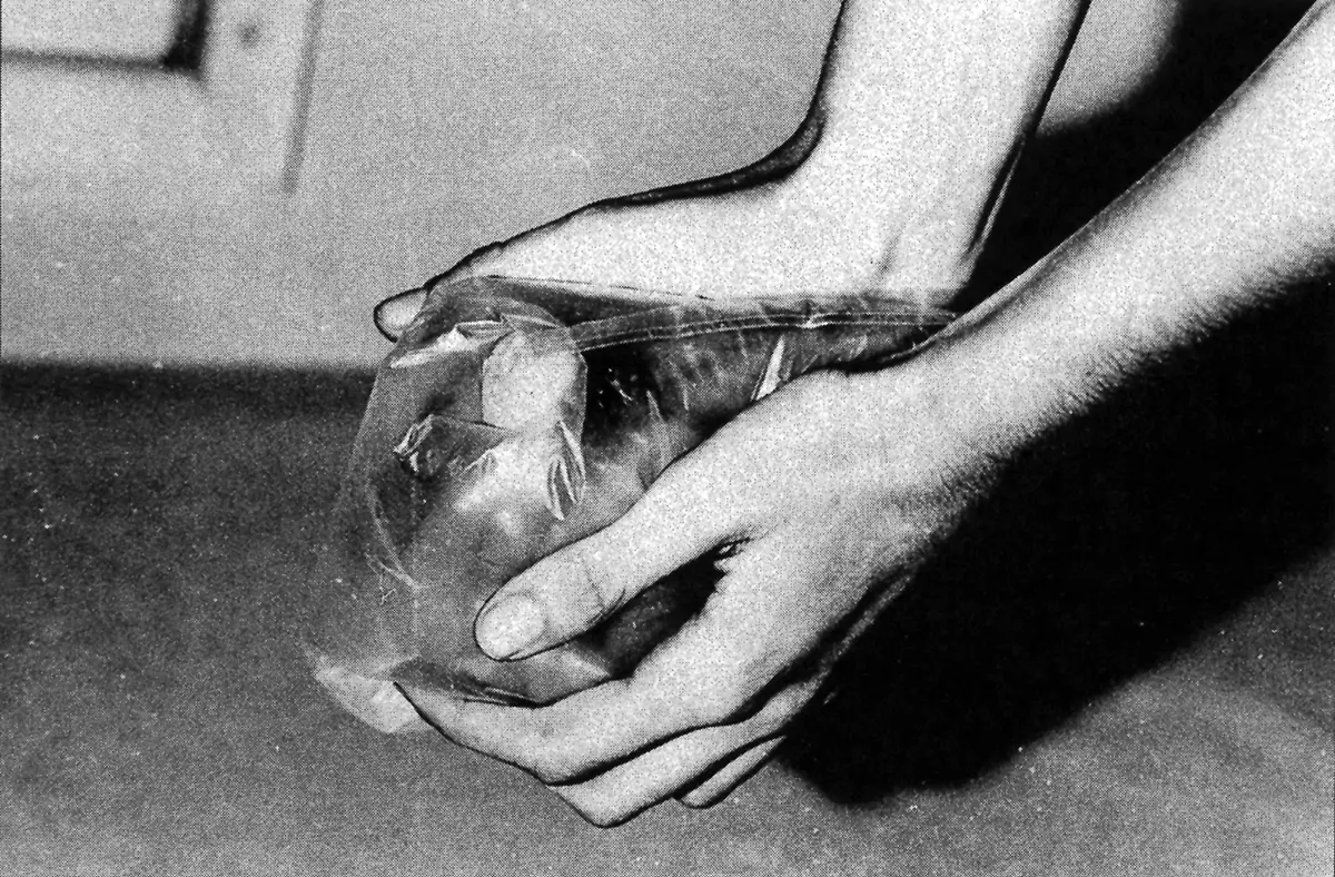 Monografía: Lygia Clark — imagen 5