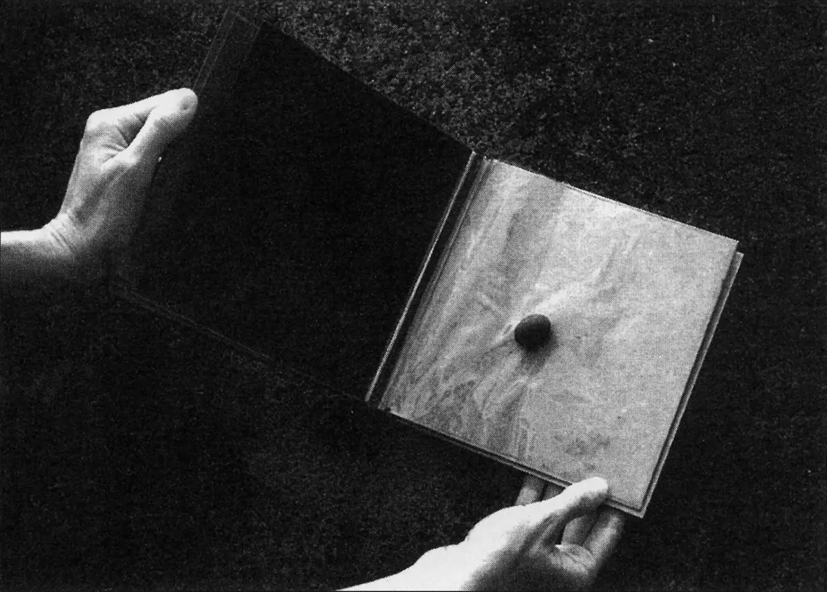 Monografía: Lygia Clark — imagen 2