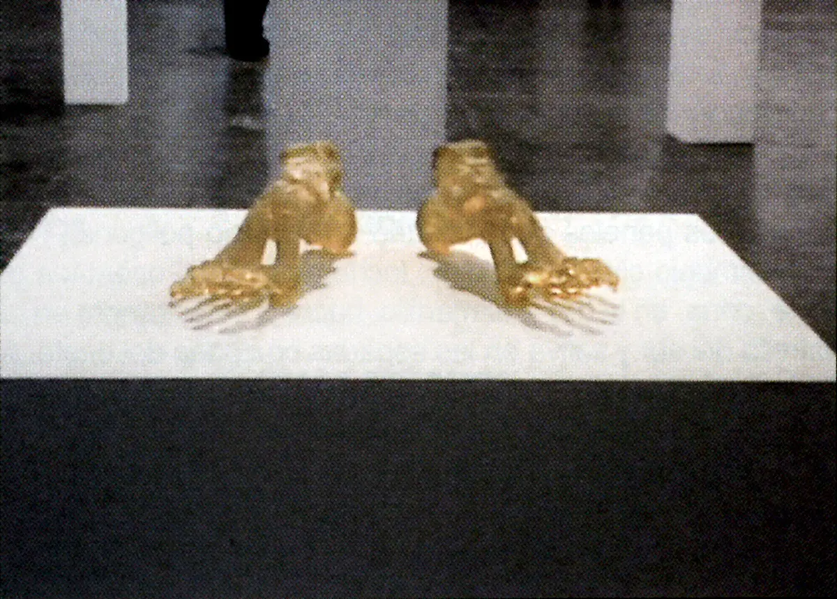 Bienal: XXIV Bienal de São Paulo — imagen 18