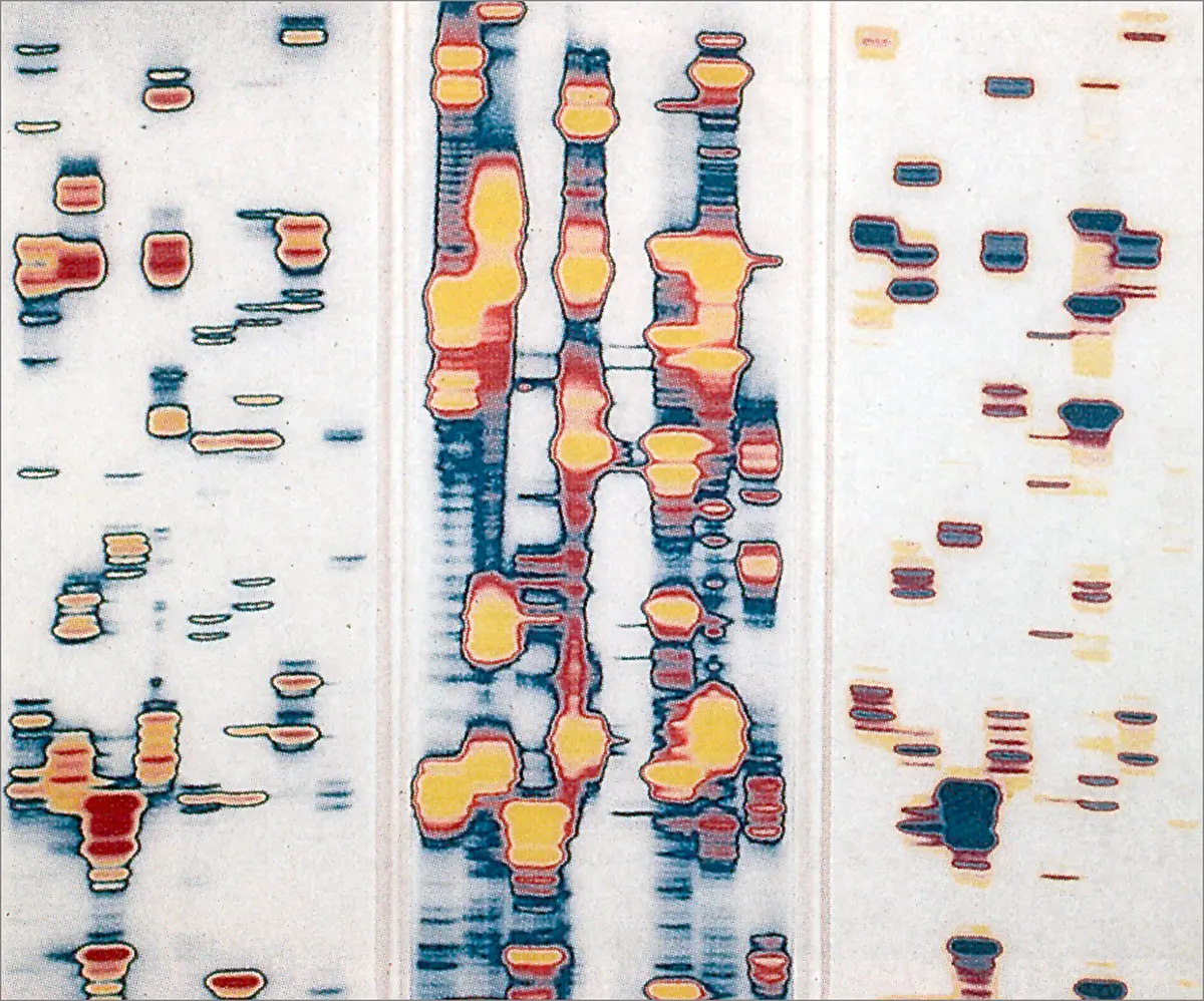 Bienal: XXIV Bienal de São Paulo — imagen 4