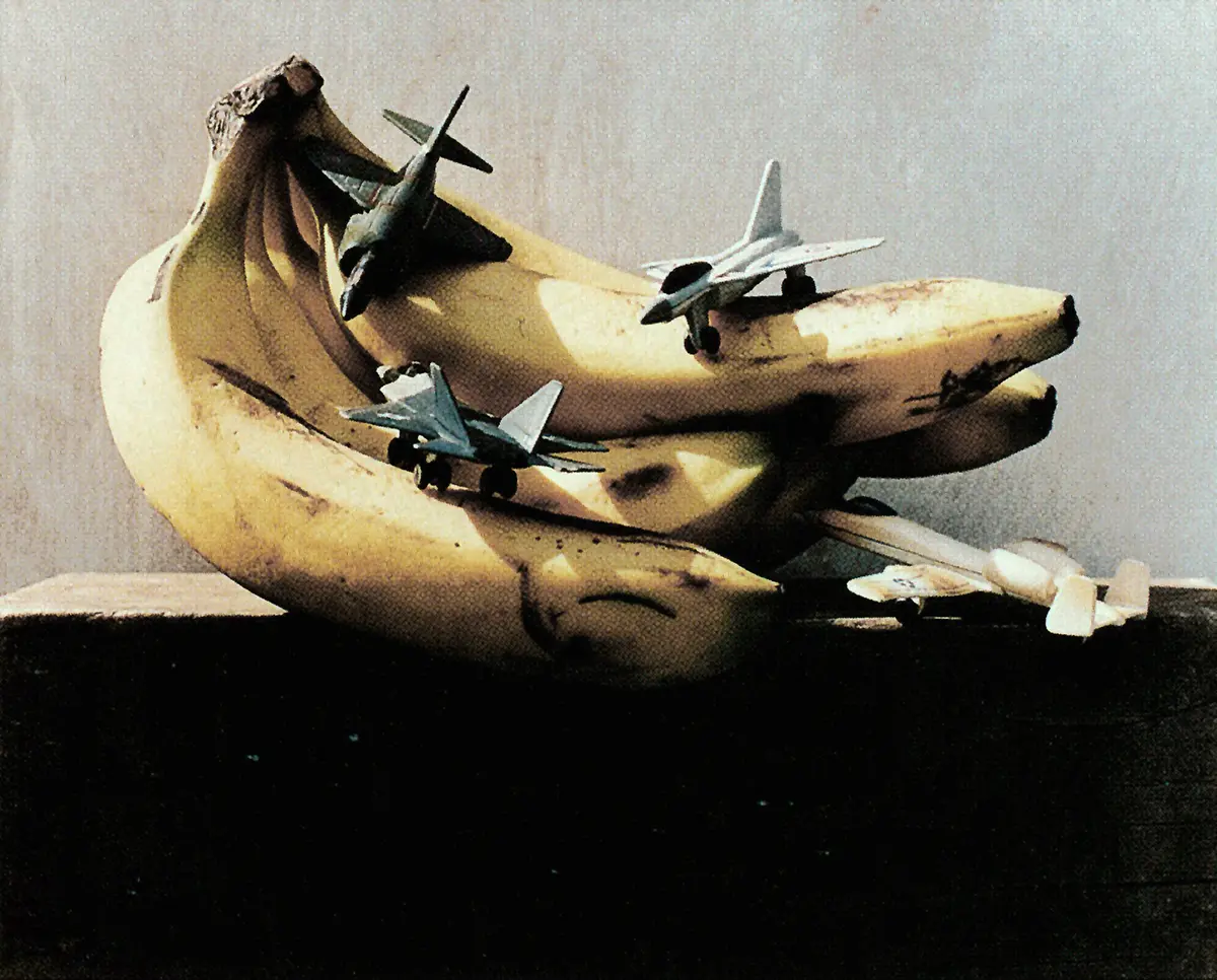 Exposición: El Caribe — imagen 5